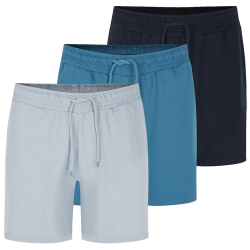 Bigdude 3 Pack Loopback Shorts Multi